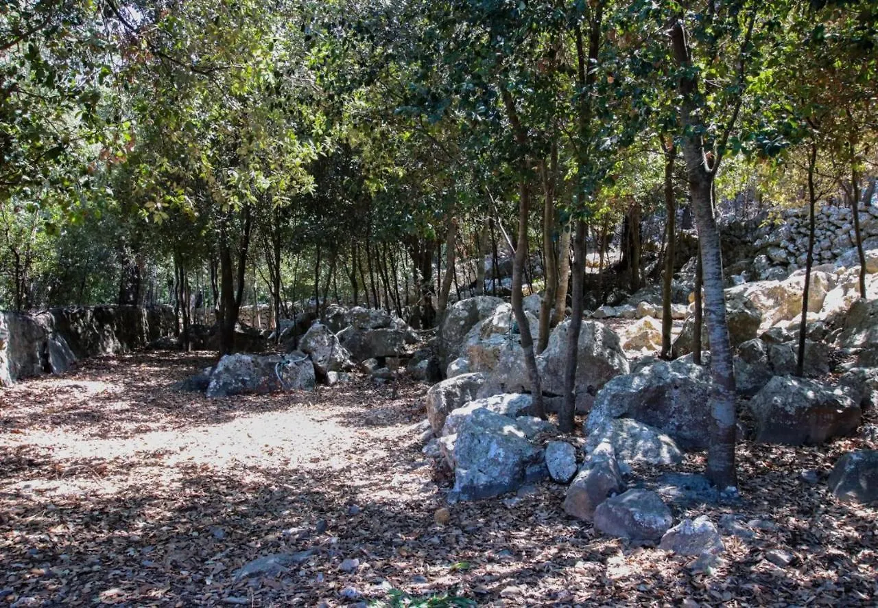 Villa Plomera Pollensa Hiszpania