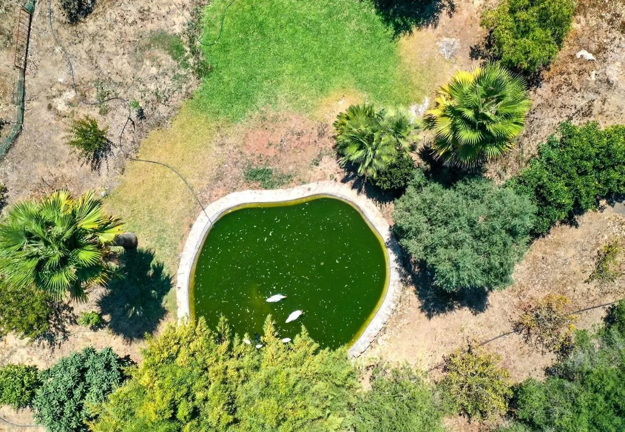 Villa Plomera Pollensa